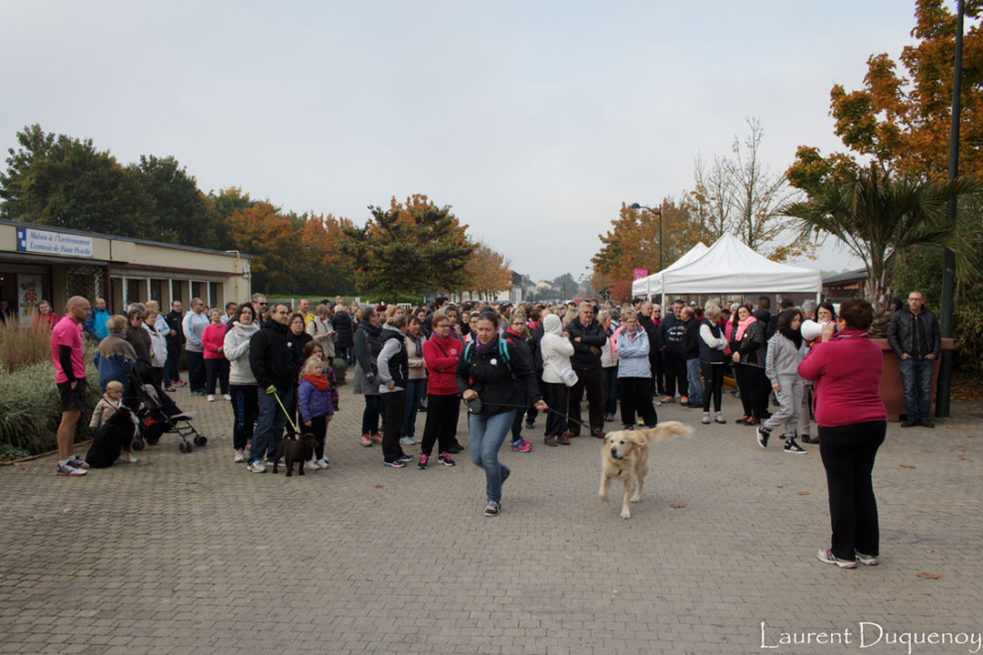 De très nombreux participants pour la marche d'octobre rose