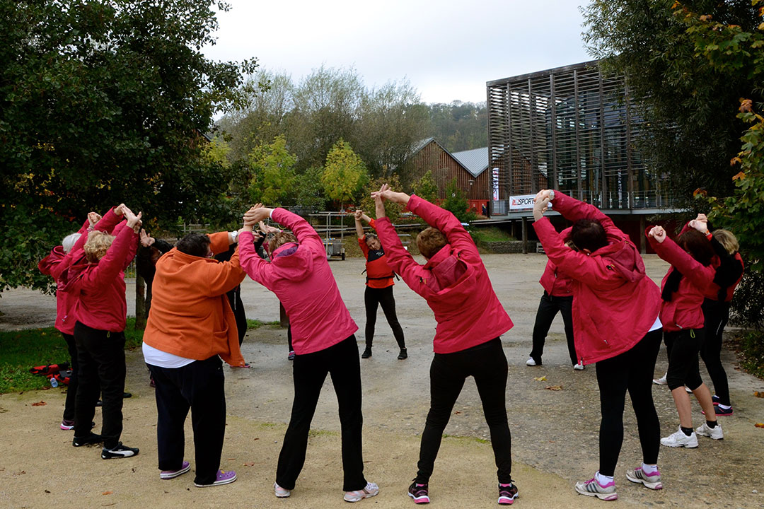 Les Dragon Ladies de Diamant Rose s'étirements