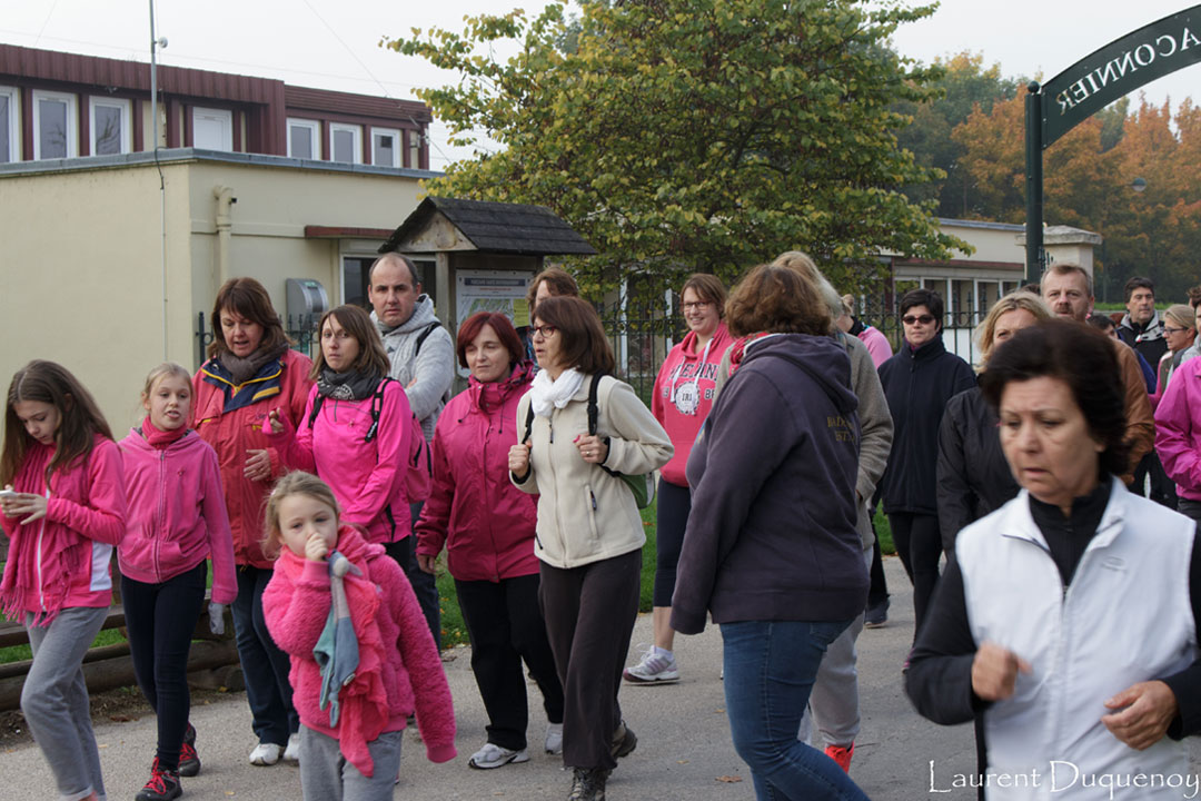 Marchons ensemble avec Diamant Rose pour Octobre Rose 2015