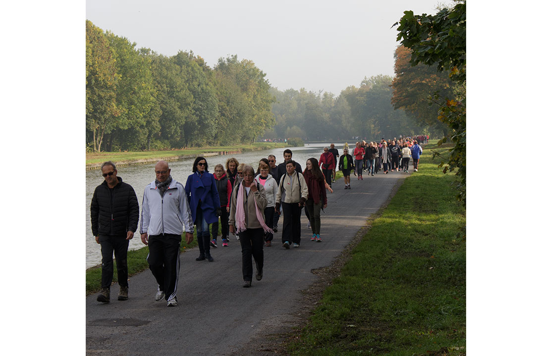 Luttons contre le cancer en marchant pour octobre Rose en 2015