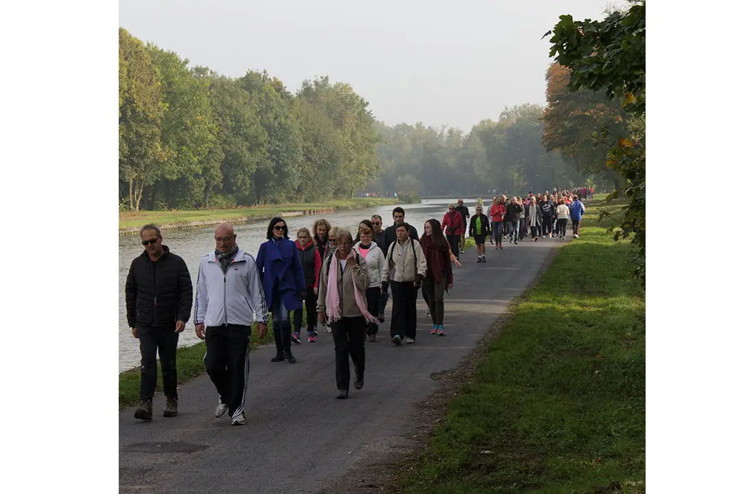 Luttons contre le cancer en marchant pour octobre Rose en 2015